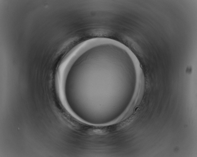 X0000091980163200710041117