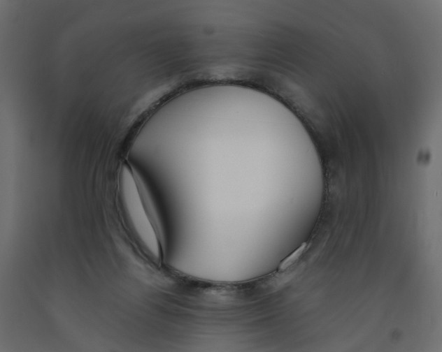 X0000091980164200710041117