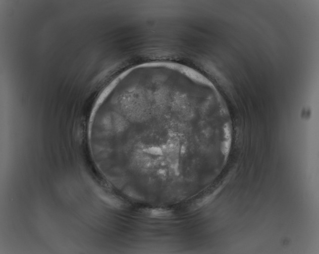 X0000091980165200710041117