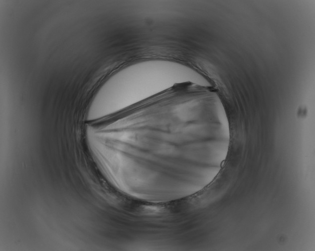 X0000091980167200710041117