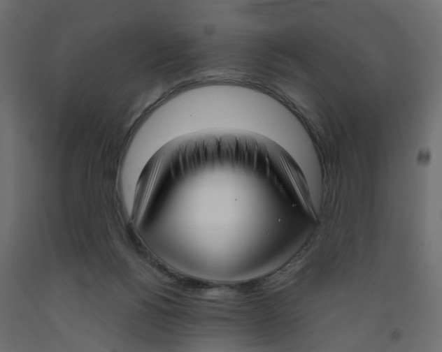 X0000091980168200710041117