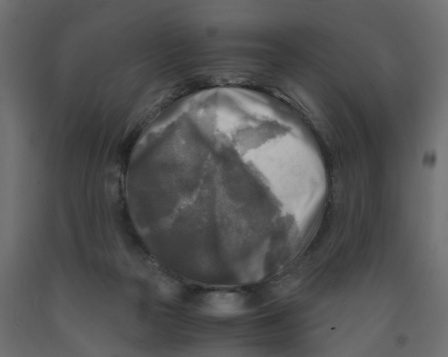 X0000091980169200710041117