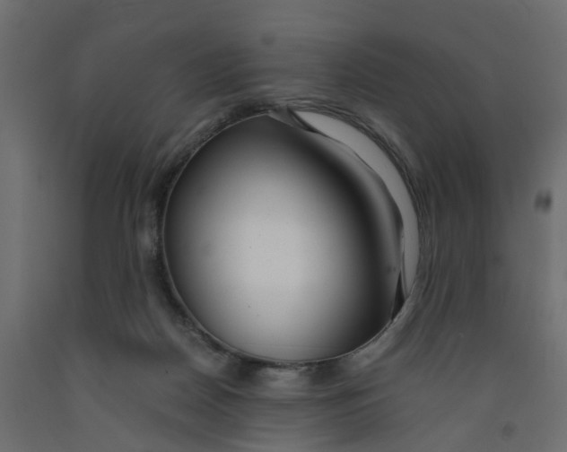 X0000091980170200710041117