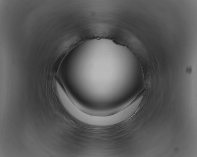 X0000091980172200710041117