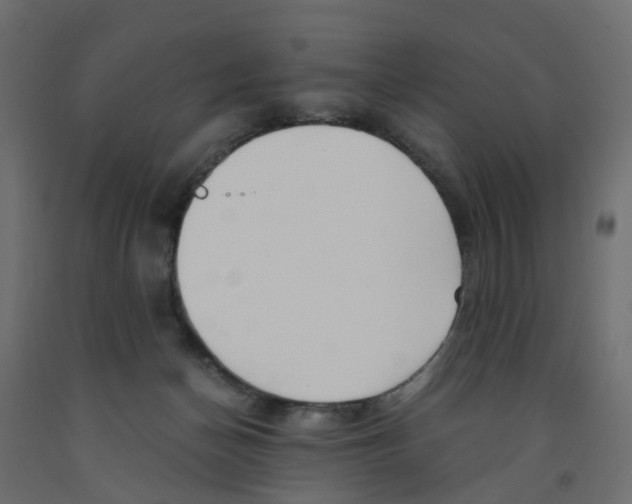 X0000091980174200710041117