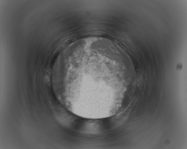 X0000091980175200710041117