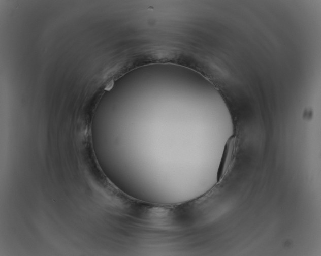 X0000091980176200710041117