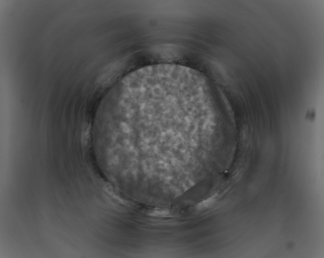 X0000091980177200710041117