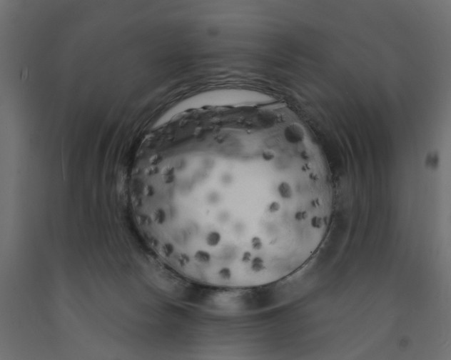 X0000091980178200710041117