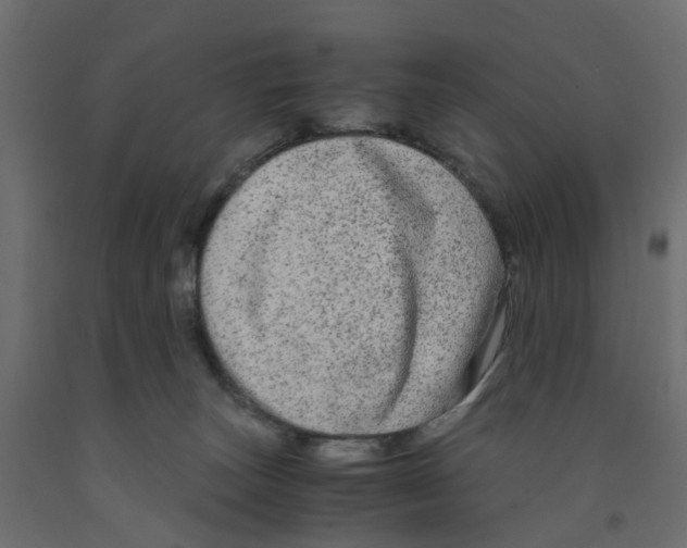 X0000091980179200710041117