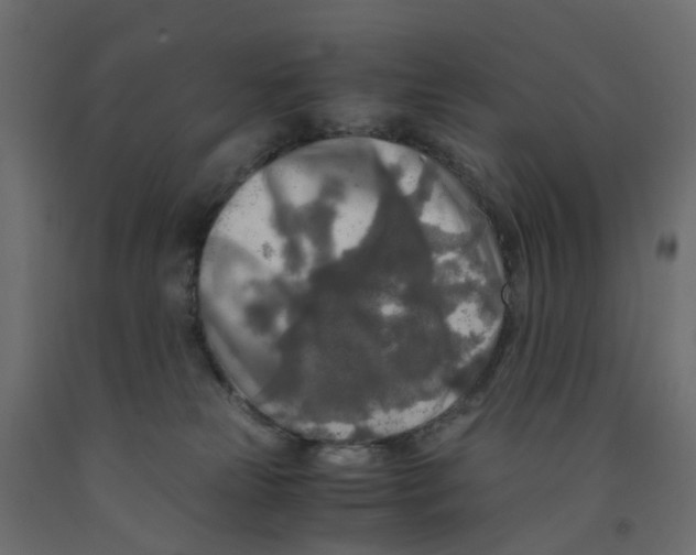 X0000091980181200710041117