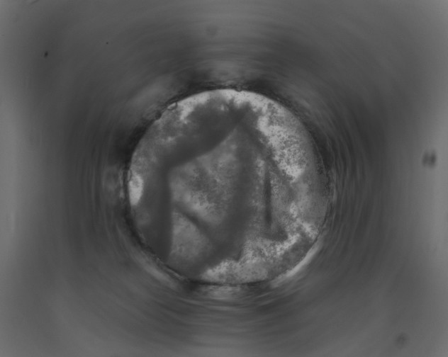 X0000091980182200710041117