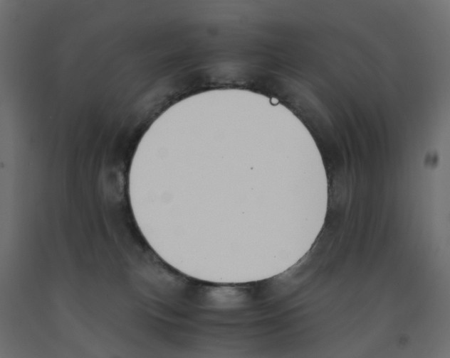 X0000091980183200710041117