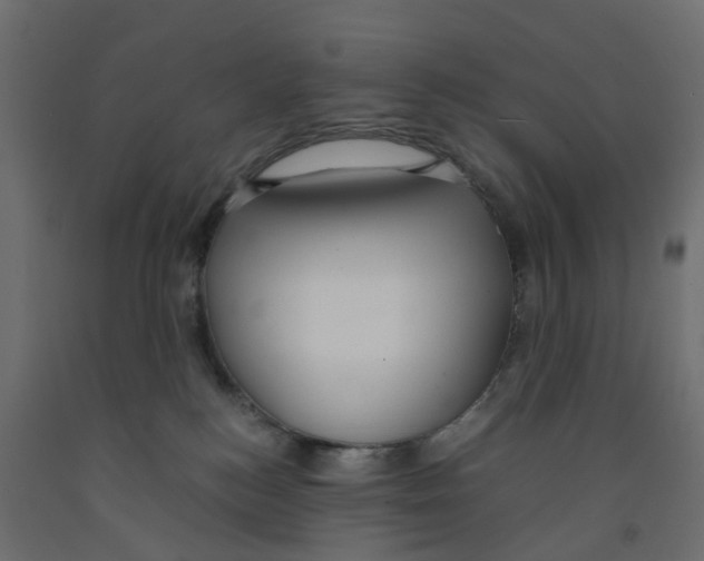 X0000091980184200710041117