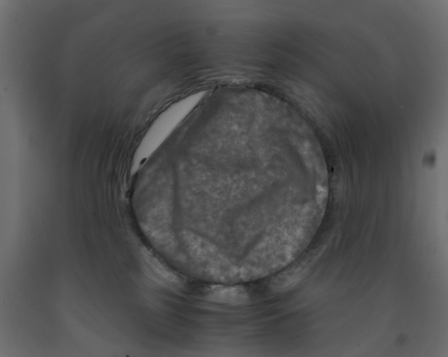 X0000091980185200710041117