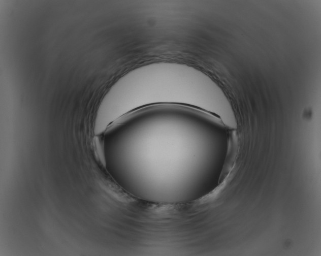 X0000091980186200710041117