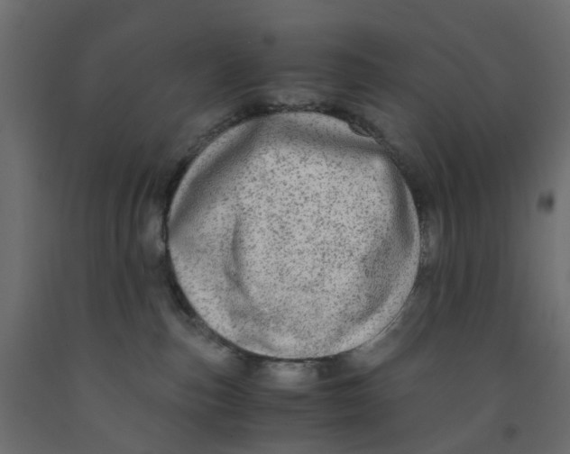 X0000091980187200710041117