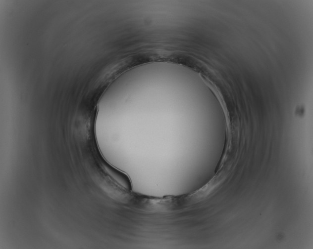 X0000091980188200710041117