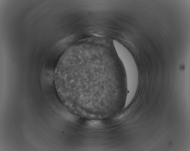 X0000091980189200710041117