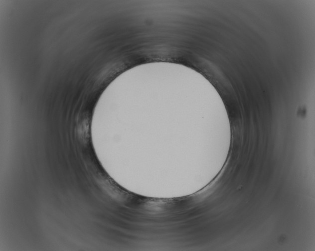 X0000091980190200710041117