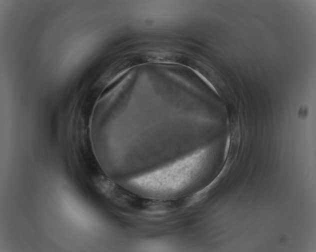 X0000091980191200710041117