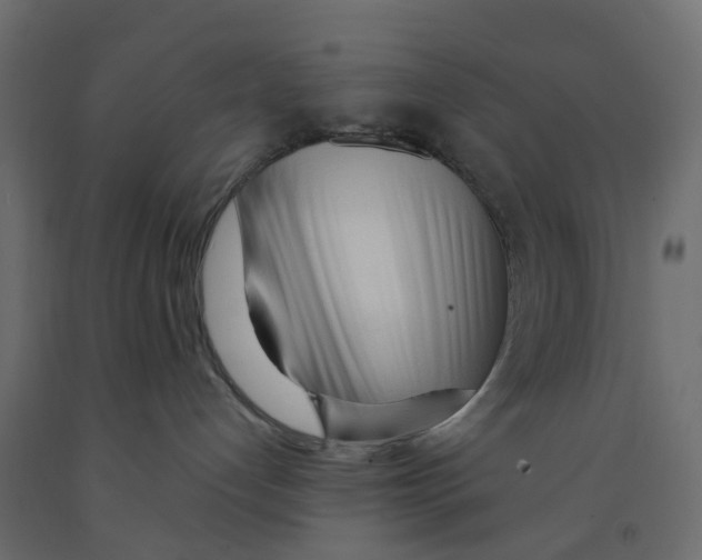 X0000091980192200710041117