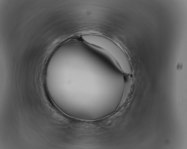 X0000091980193200710041117
