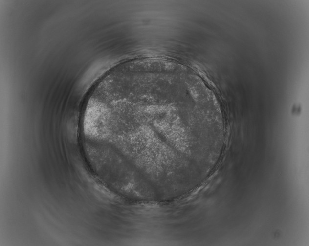 X0000091980194200710041117