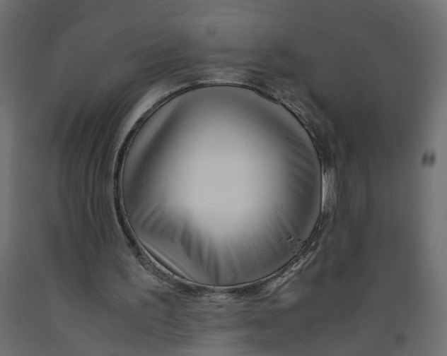 X0000091980195200710041117