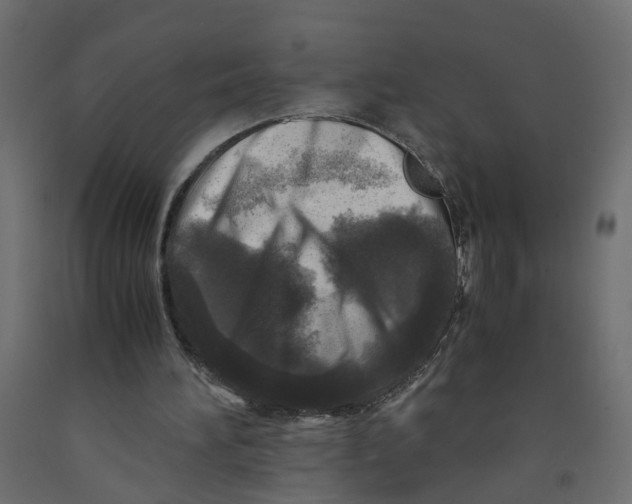 X0000091980196200710041117