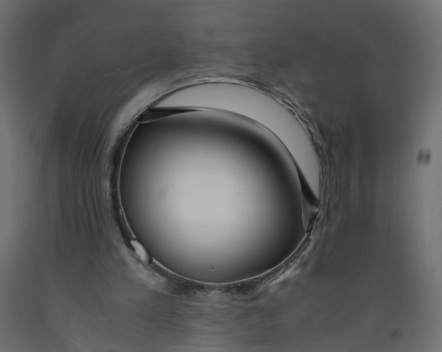 X0000091980197200710041117