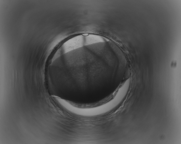 X0000091980200200710041117