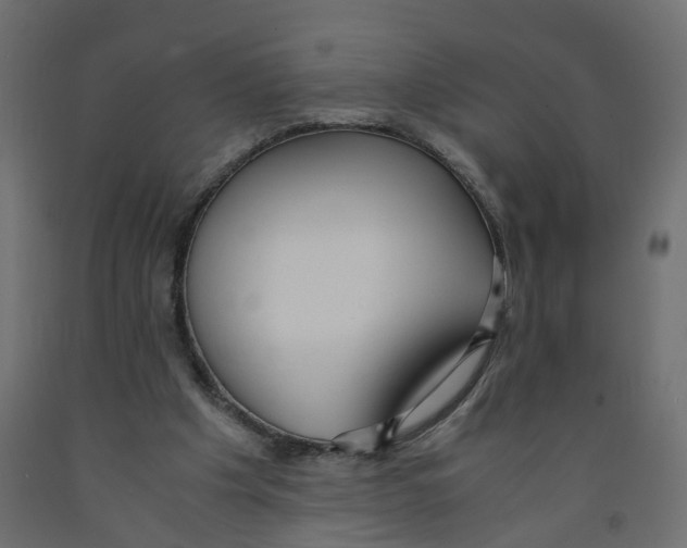 X0000091980201200710041117