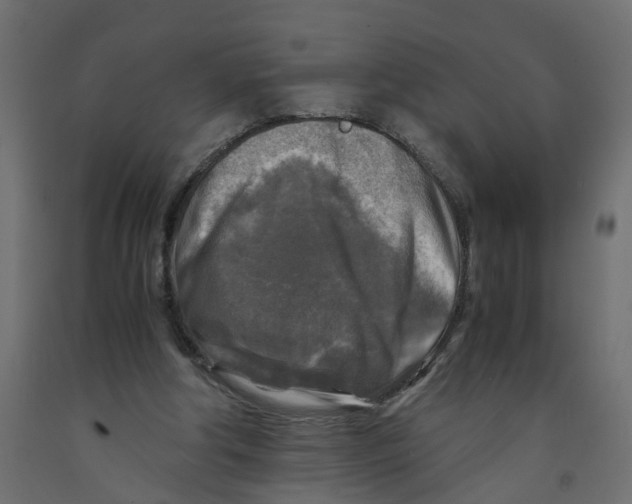 X0000091980202200710041117