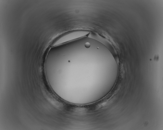 X0000091980203200710041117