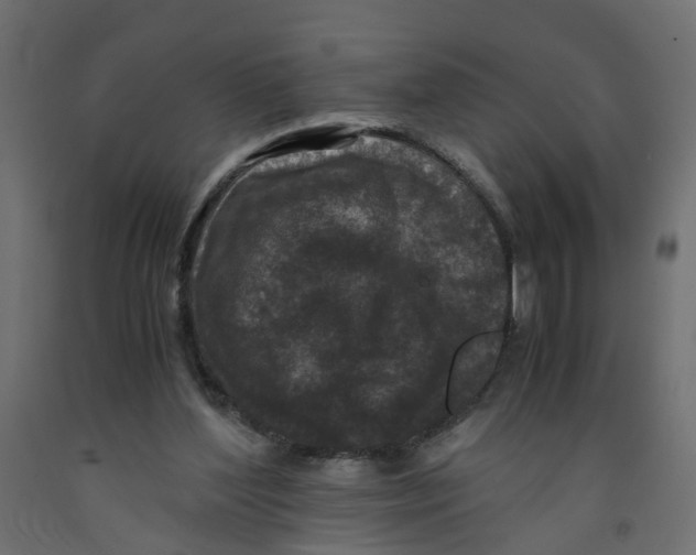 X0000091980204200710041117