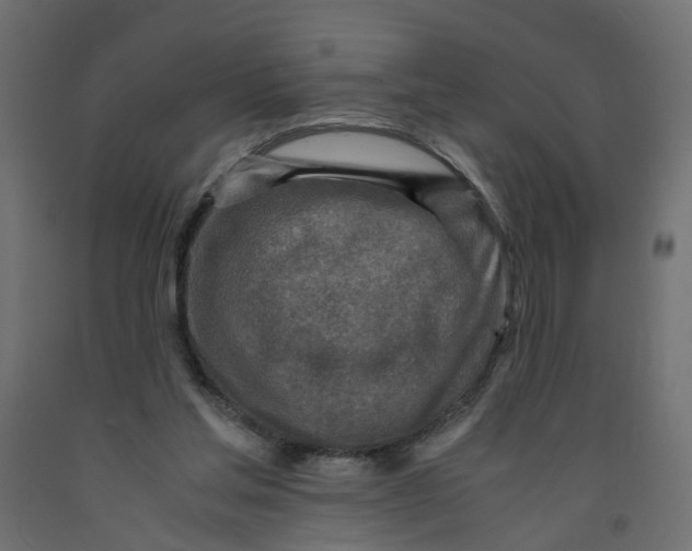 X0000091980205200710041117