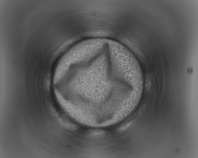 X0000091980206200710041117
