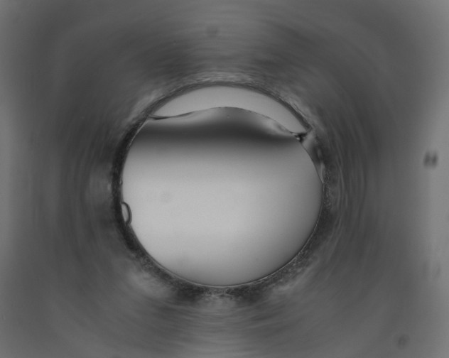 X0000091980207200710041117