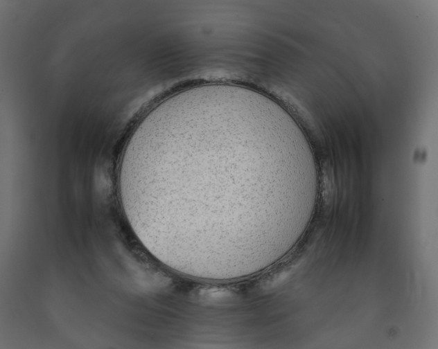 X0000091980208200710041116