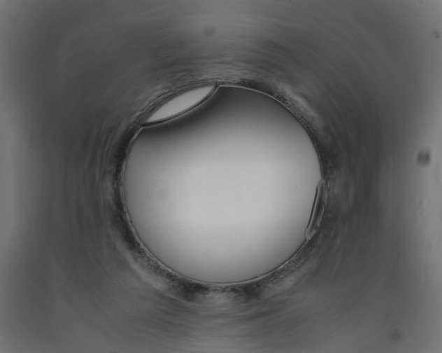 X0000091980209200710041116