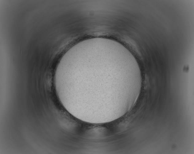 X0000091980210200710041116
