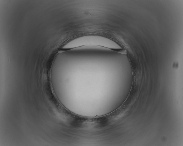 X0000091980213200710041116
