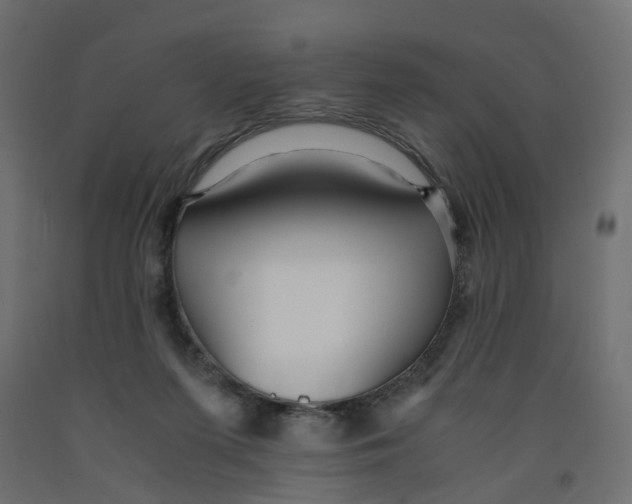 X0000091980215200710041116