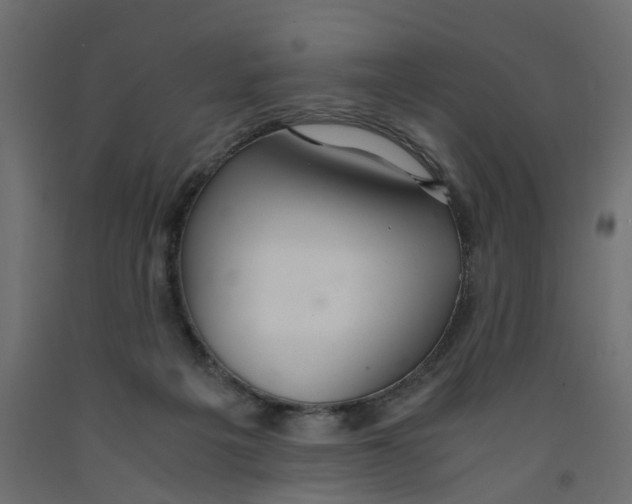 X0000091980217200710041116