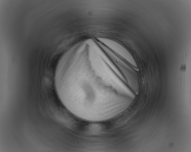 X0000091980218200710041116