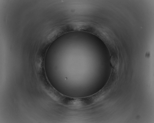 X0000091980219200710041116