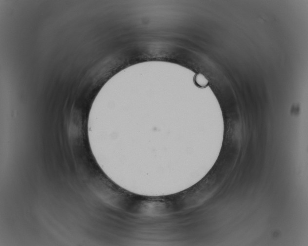 X0000091980220200710041116