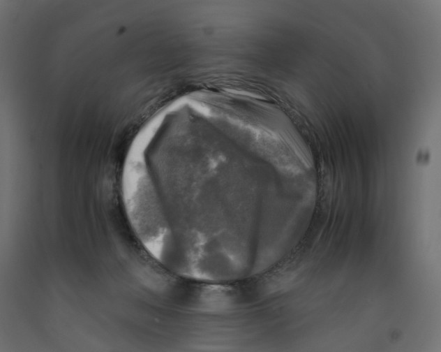 X0000091980222200710041116
