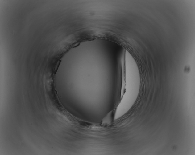 X0000091980223200710041116